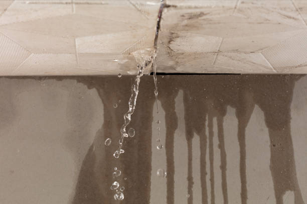 Professional Flood Damage Cleanup technician working in Overton, NV